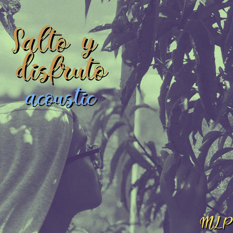 Salto y Disfruto (Life remix) cover art