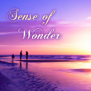 Sense of Wonder - Best Meditation Music, Relaxing Spa Sounds Collection