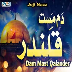 Mara Howay Yaar Gila Nai Madam cover art