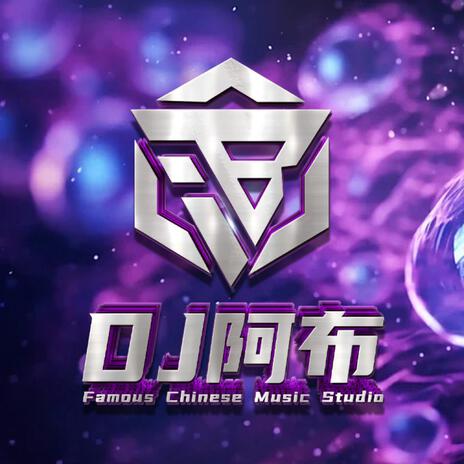 我曾踏足山巔也曾進入低谷 cover art