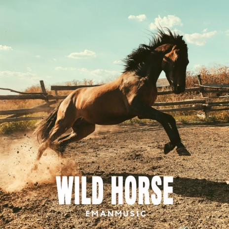 Wild Horse (Radio Edit) cover art