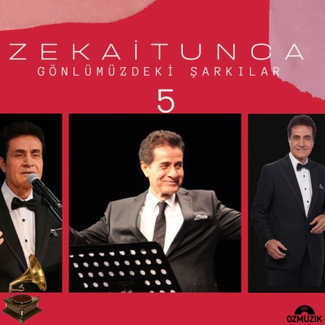 Deli Gönül Gezer Gezer Gelirsin (Hicaz) cover art