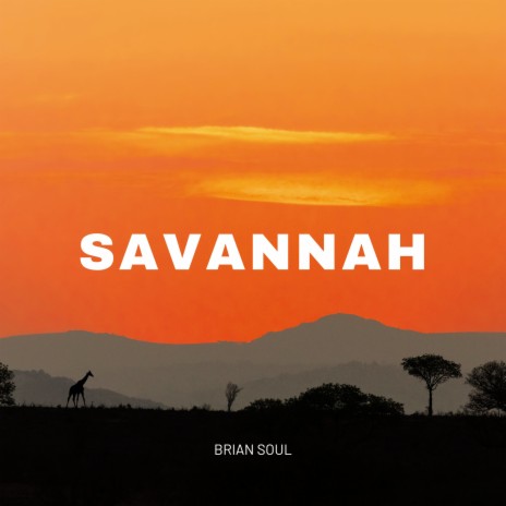 Freedom cover art