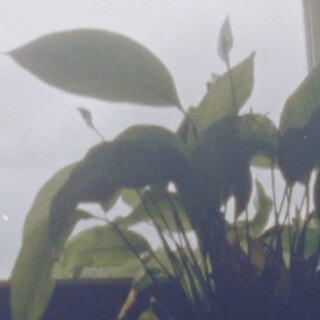 No Destination ft. Suula cover art
