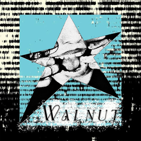 Walnut cover art