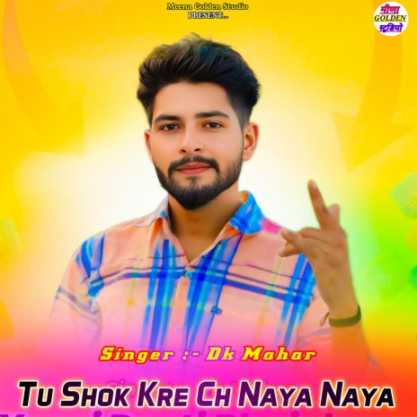 Tu Shok Kre Ch Naya Naya cover art