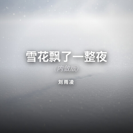 雪花飘了一整夜 (内敛版) cover art