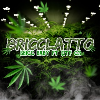 bricc baby