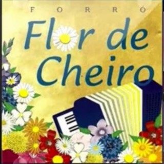 Forró Flor de Cheiro
