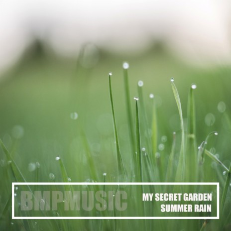 Summer Rain (Original Mix) cover art