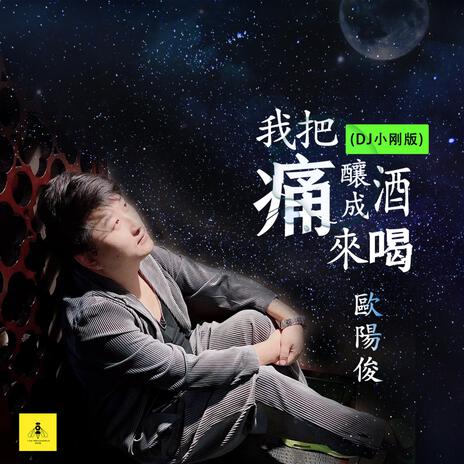 我把痛酿成酒来喝 (DJ小刚版伴奏) cover art