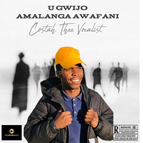 Amalang' awafani ft. Costah Thee Vocalist cover art