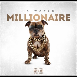 Millionaire cover art