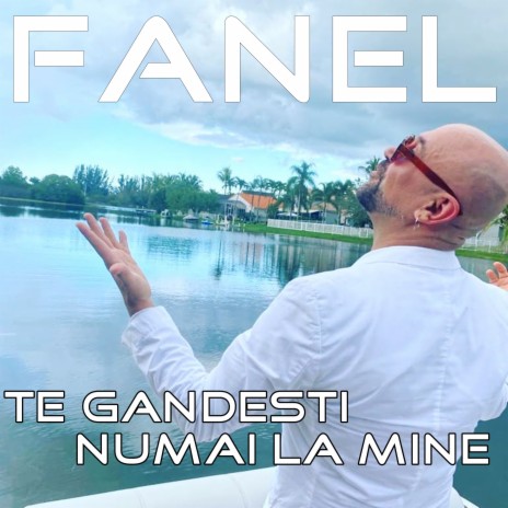 Te Gandesti Numai la Mine cover art