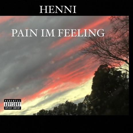 Pain im feeling cover art