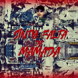 Sinto Falta da Mamada ft. DJ Torquato cover art