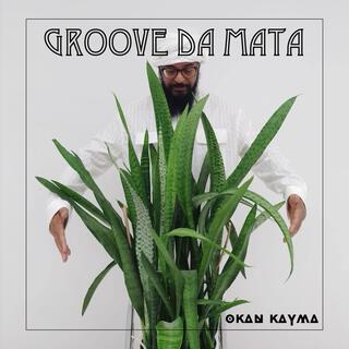 Groove da Mata