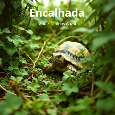 Encalhada (Sertanejo Universitário-Top Hits) cover art