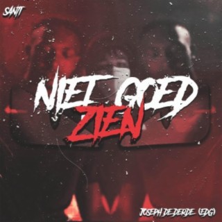 Niet Goed Zien (feat. Joseph de Derde) cover art