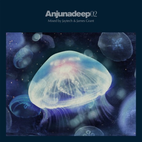 Reach Your Soul cover art