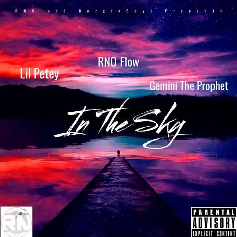 In The Sky ft. Lil Petey & Gemini The Prophet cover art