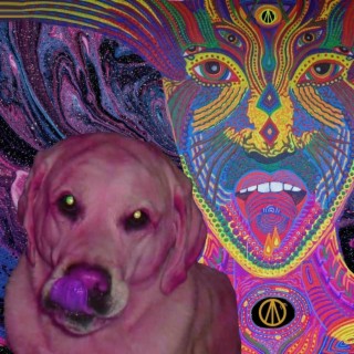 it's real cover art