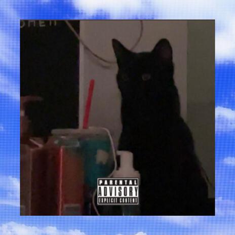 $elf $lane cover art
