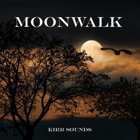 Moonwalk (Extended Mix)