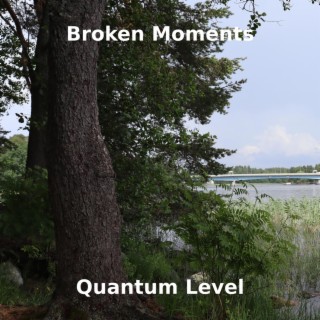 Quantum Level