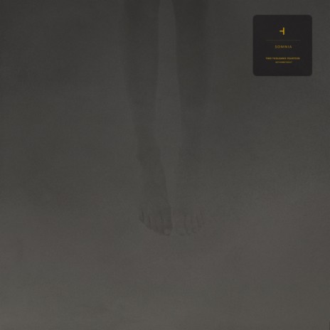 Felt cover art