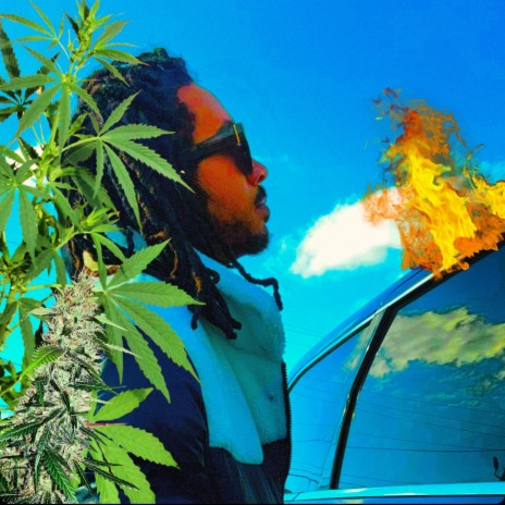 The Meaning cover art