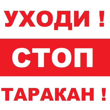 СТОП ТАРАКАН! cover art