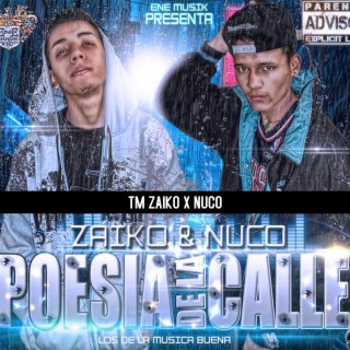 Tm Zaiko