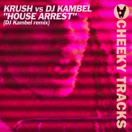 House Arrest (DJ Kambel Radio Edit) ft. DJ Kambel cover art