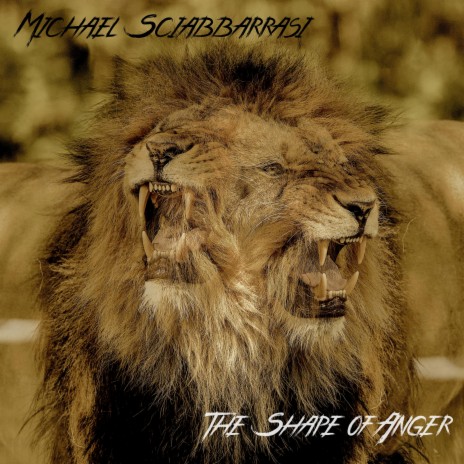 The Shape of Anger cover art