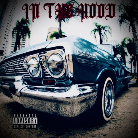 IN THE HOOD cover art