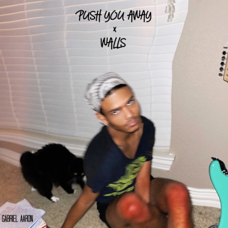 Walls cover art