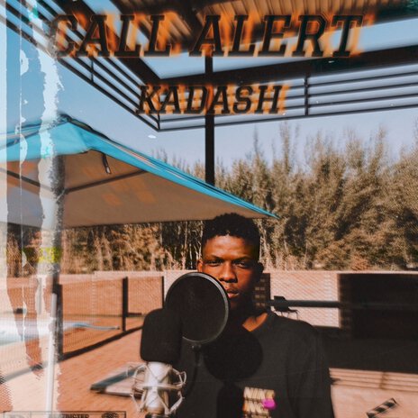Call Alert cover art