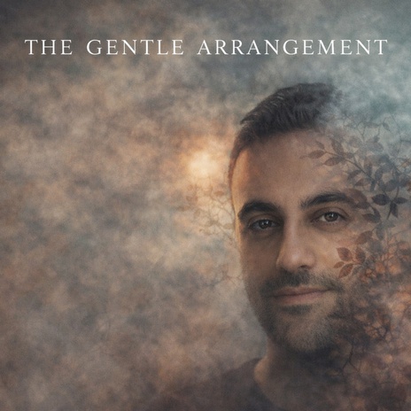 The Gentle Arrangement (Remix) cover art