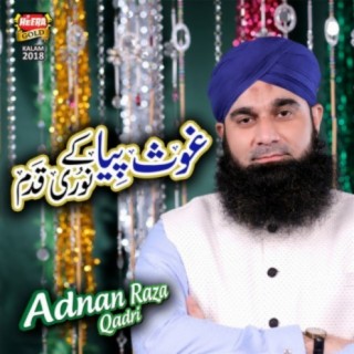 Adnan Raza Qadri