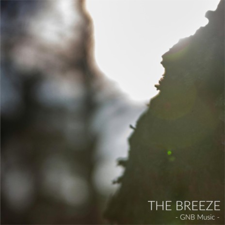 The Breeze
