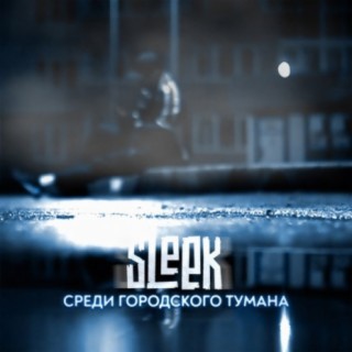 Среди городского тумана cover art
