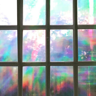 Camera in your hand cover art