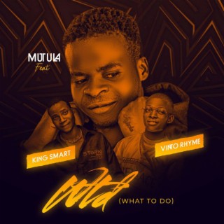 What To Do ft. King Smart & Vinto Rhyme cover art