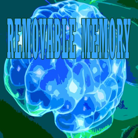 REMOVABLE MEMORY cover art