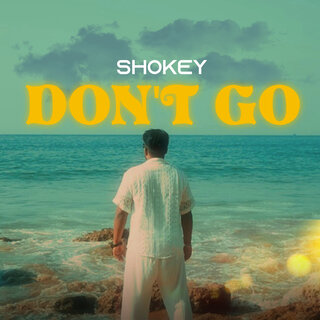 Don't Go ft. Prod.S41F cover art