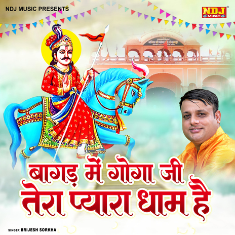 Bagad Me Goga Ji Tera Pyara Dham Hai cover art