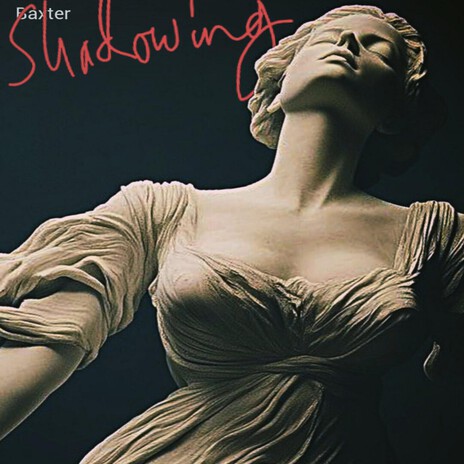 Shadowing cover art