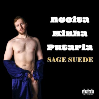 Aceita Minha Putaria cover art