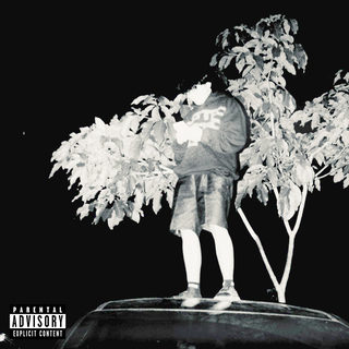 Trippin To The Top ft. SLIIMJIIM cover art